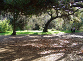 Enlarge photo 90