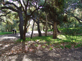 Enlarge photo 91