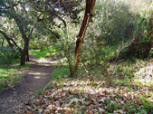 Enlarge photo 92