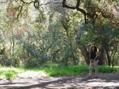 Enlarge photo 94