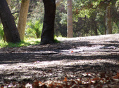 Enlarge photo 96