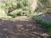 Enlarge photo 97