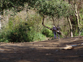Enlarge photo 98