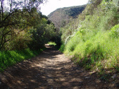 Enlarge photo 99