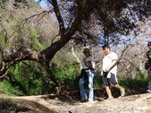 Enlarge photo 102