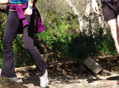 Enlarge photo 103
