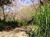 Enlarge photo 104