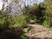 Enlarge photo 105