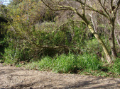 Enlarge photo 106