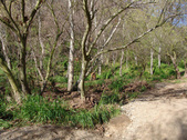 Enlarge photo 107
