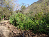 Enlarge photo 108