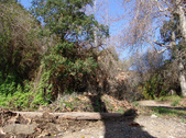 Enlarge photo 109