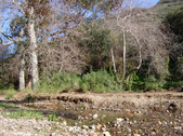 Enlarge photo 110