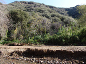 Enlarge photo 111