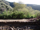 Enlarge photo 112