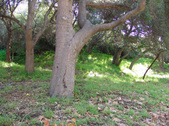Enlarge photo 113