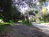 Enlarge photo 114