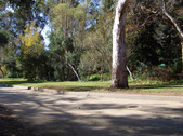 Enlarge photo 115