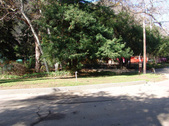 Enlarge photo 116