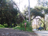 Enlarge photo 117