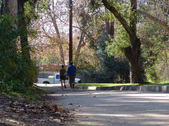 Enlarge photo 118