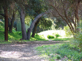 Enlarge photo 119