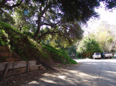 Enlarge photo 121