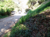Enlarge photo 128