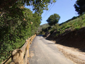 Enlarge photo 129