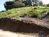 Enlarge photo 130