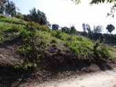 Enlarge photo 131