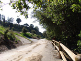 Enlarge photo 132