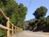 Enlarge photo 133