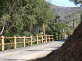 Enlarge photo 135