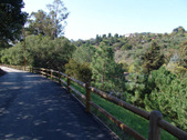 Enlarge photo 138