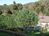 Enlarge photo 139