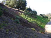 Enlarge photo 141