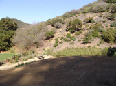 Enlarge photo 143