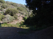Enlarge photo 144