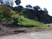 Enlarge photo 145