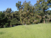 Enlarge photo 148