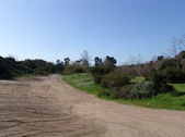 Enlarge photo 149