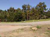 Enlarge photo 151