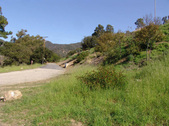 Enlarge photo 152