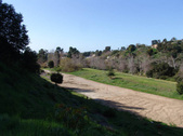 Enlarge photo 153