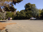 Enlarge photo 157