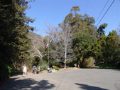 Enlarge photo 161