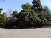 Enlarge photo 162