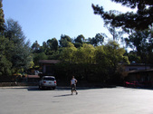 Enlarge photo 163