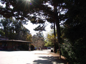 Enlarge photo 164